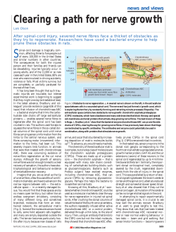 Olson L (2002) News and Views