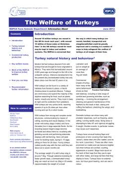 The welfare of turkeys information sheet - 2013 30May13