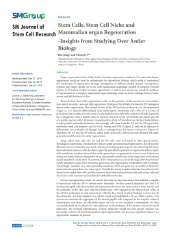 Stem Cells, Stem Cell Niche and Mammalian organ Regeneration