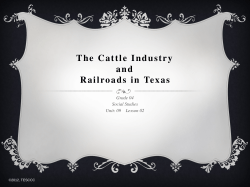 The Cattle Industry and Railroads in Texas