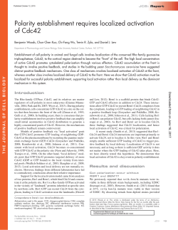 Polarity establishment requires localized activation of Cdc42