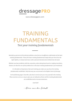 training fundamentals