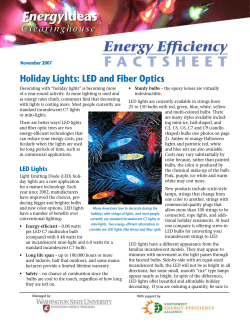 Holiday Lights: LED and Fiber Optics