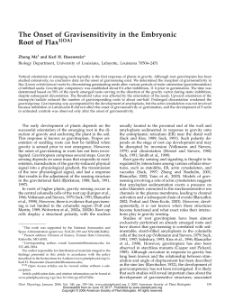 The Onset of Gravisensitivity in the Embryonic Root of Flax1[OA]
