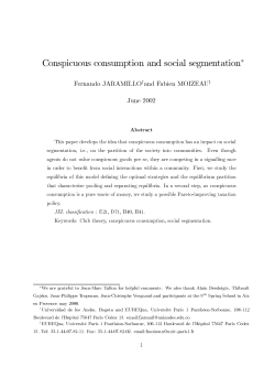 Conspicuous consumption and social segmentation