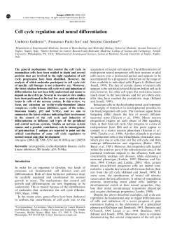 Cell cycle regulation and neural differentiation