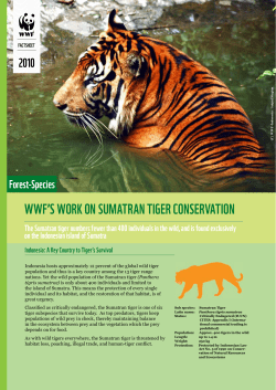 WWF`s Work on sumatran tiger Conservation