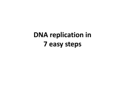 DNA replication in 7 easy steps
