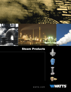 Steam Products - Watts Water Technologies