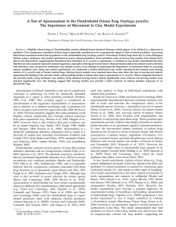 The Importance of Movement in Clay Model Experiments