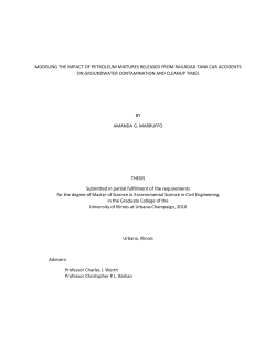 MODELING THE IMPACT OF PETROLEUM MIXTURES RELEASED
