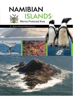Namibian Islands` Marine Protected Area, April 2009