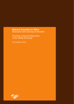 role of social enterprises in the Welsh economy