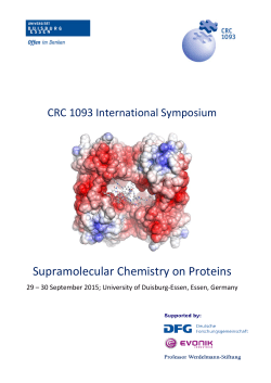 CRC 1093 International Symposium on Supramolecular Chemistry