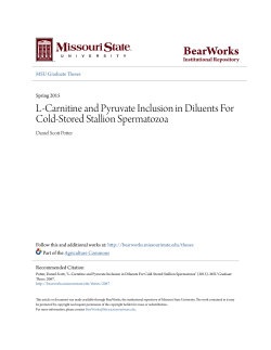L-Carnitine and Pyruvate Inclusion in Diluents For Cold