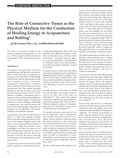 The Role of Connective Tissue as the Physical Medium for