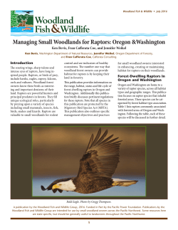 Managing Small Woodlands for Raptors