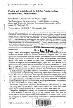 Feeding and metabolism of the jellyfish Pelagia noctiluca