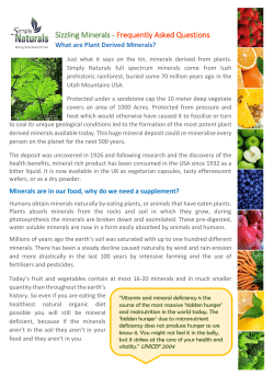 Sizzling Minerals - Frequently Asked Questions
