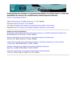 Understanding the formation of supported lipid bilayers via vesicle