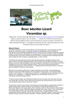 bosc monitor lizard - Critterish Allsorts