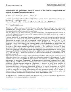 TEM investigation of the counter-electrode structure in Ta capacitors