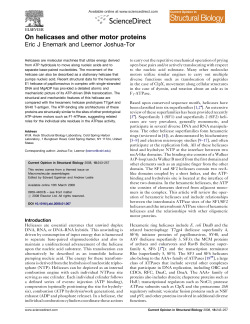 On helicases and other motor proteins