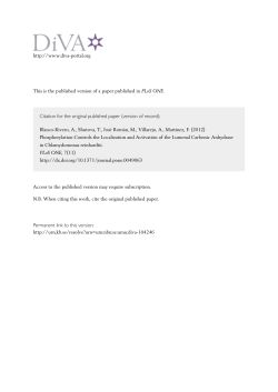 Phosphorylation Controls the Localization and Activation of the
