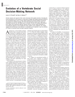 Evolution of a Vertebrate Social Decision