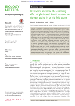 Detritivores ameliorate the enhancing effect of plant