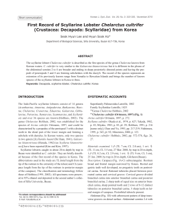 19)310-First Record(dh)