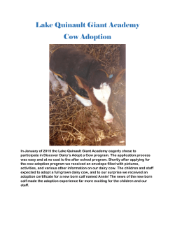 Lake Quinault Giant Academy Cow Adoption