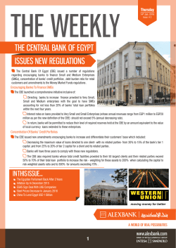 ISSUES NEW REGULATIONS THE CENTRAL BANK OF EGYPT