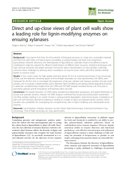 Direct and up-close views of plant cell walls show