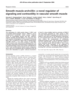 Smooth muscle archvillin - Journal of Cell Science