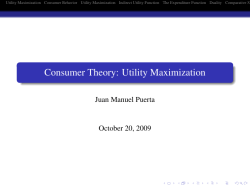 Consumer Theory: Utility Maximization