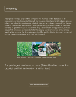 Europe`s largest bioethanol producer (340 million liter production