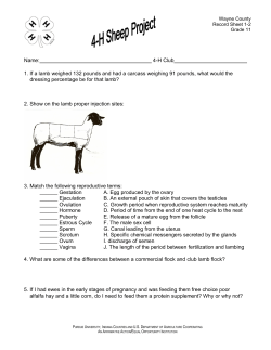 Name: 4-H Club 1. If a lamb weighed 132 pounds and had a carcass