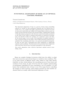 FUNCTIONAL ADAPTATION OF BONE AS AN OPTIMAL CONTROL