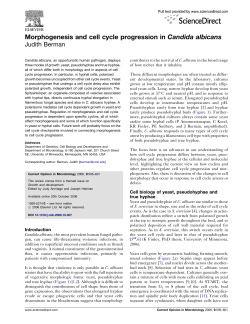 Morphogenesis and cell cycle progression in Candida albicans