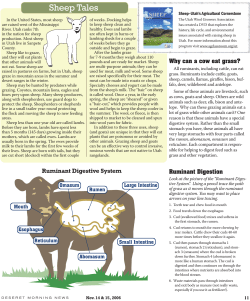 Sheep Tales - Utah Agriculture in the Classroom