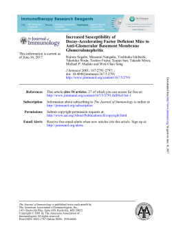 Increased Susceptibility of Decay-Accelerating Factor Deficient Mice