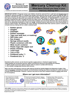 Mercury Cleanup Kit