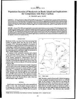 Population Increase of Muskoxen on Banks Island and Implications
