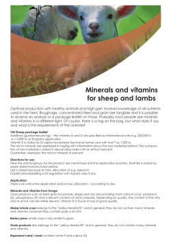 Minerals and vitamins for sheep and lambs