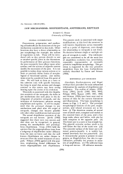 JAW MECHANISMS: RHIPIDISTIANS, AMPHIBIANS, REPTILES