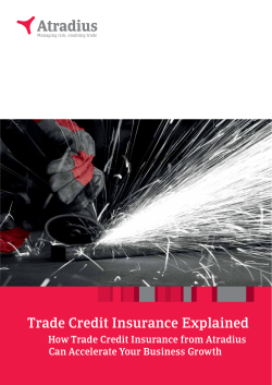 Credit Insurance Explained Brochure