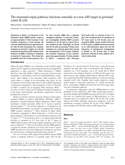 The mismatch repair pathway functions normally at a non