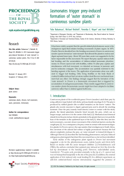 in carnivorous sundew plants - Proceedings of the Royal Society B