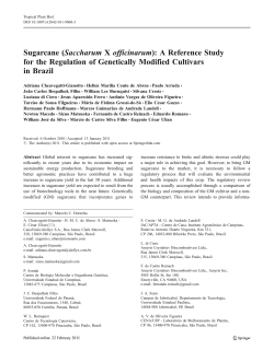 Sugarcane (Saccharum X officinarum): A Reference Study for the